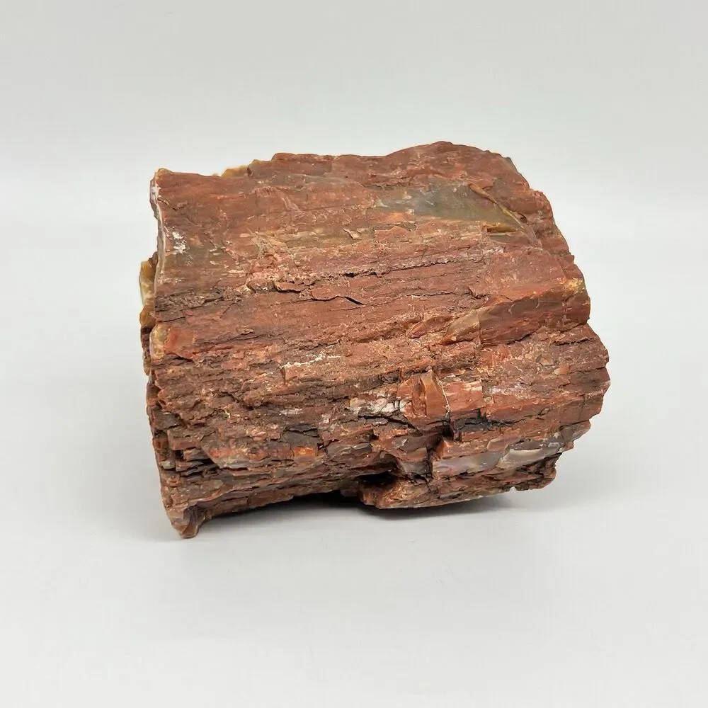 Arizona Rainbow Petrified Wood Specimen Agatized Fossil Rock 1.7lb Red Brown VTG